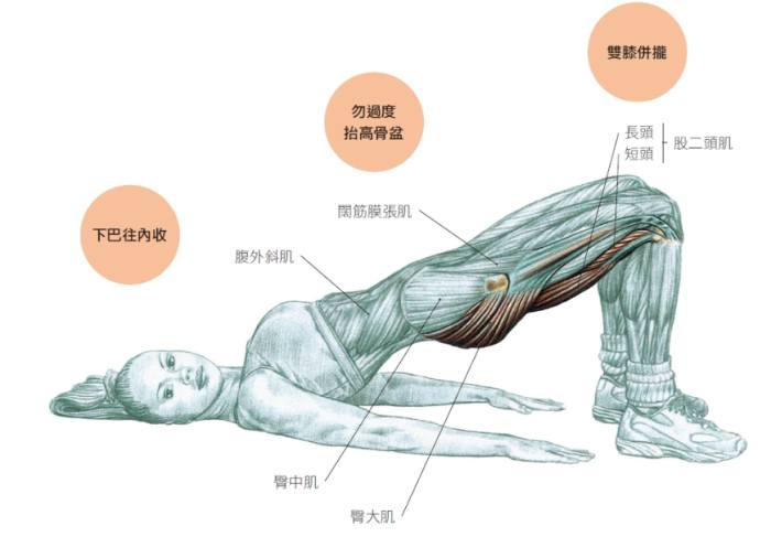 臀肌訓練