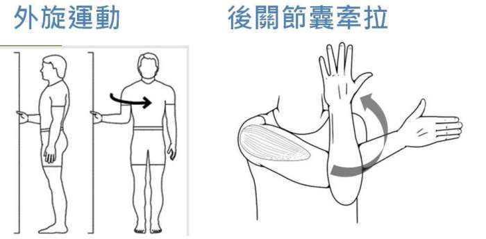 五十肩運動器材