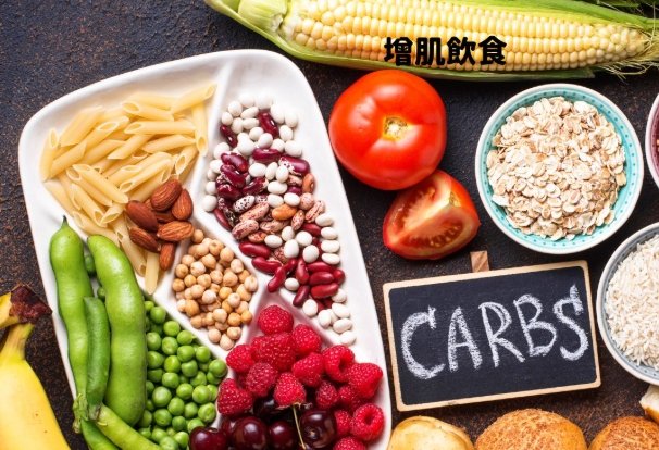 增肌飲食計劃 增肌飲食計劃