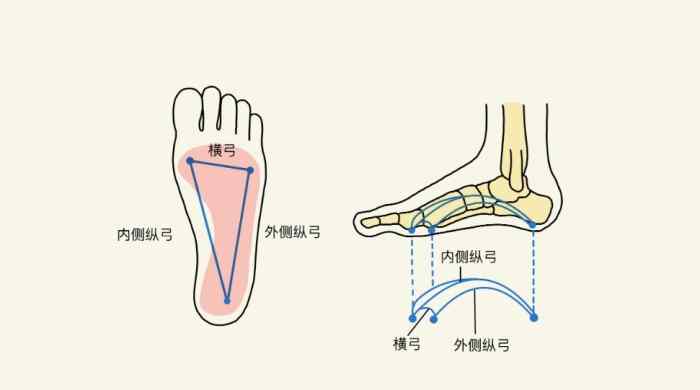 足弓是什麼