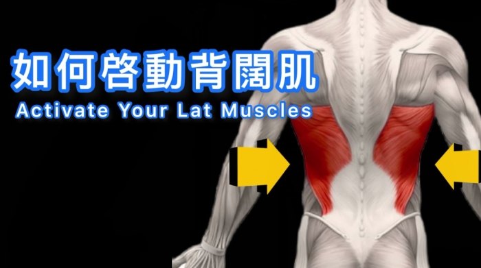 闊背肌訓練方法