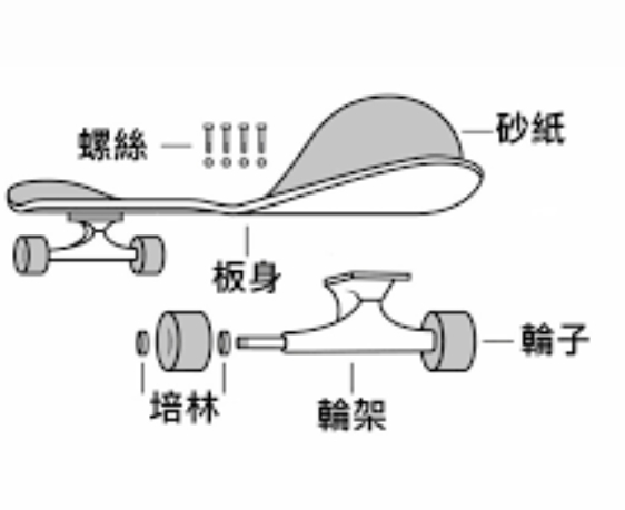 滑板種類