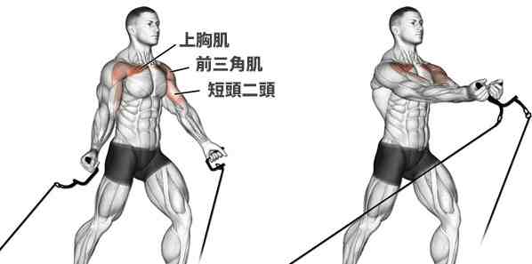 胸肌訓練在家 胸肌訓練在家