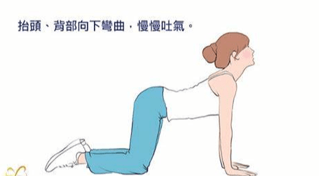 背部伸展運動的好處