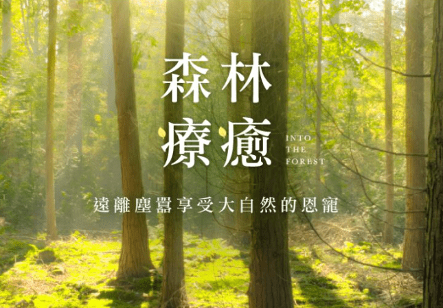 森林療癒的重要性