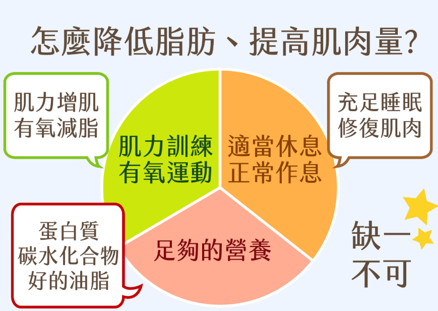 復胖是代謝率作祟 復胖是代謝率作祟