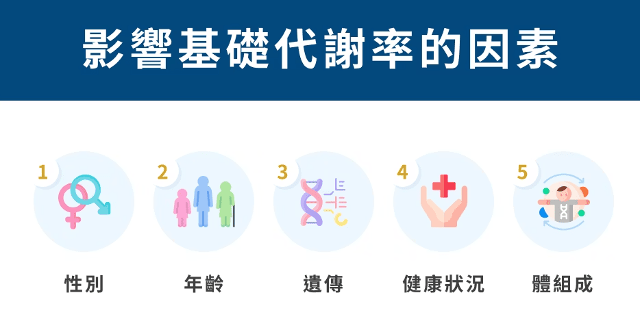 避免快速減重肌肉量流失