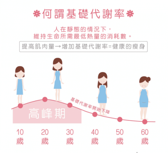 什麼是基礎代謝率
