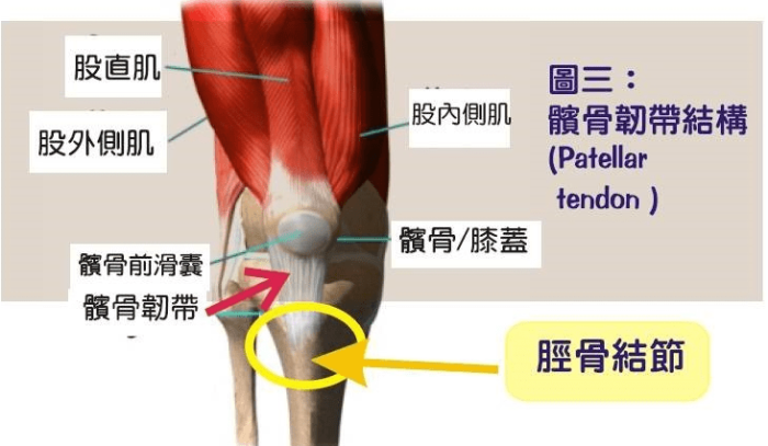 膝蓋韌帶受傷的治療方法