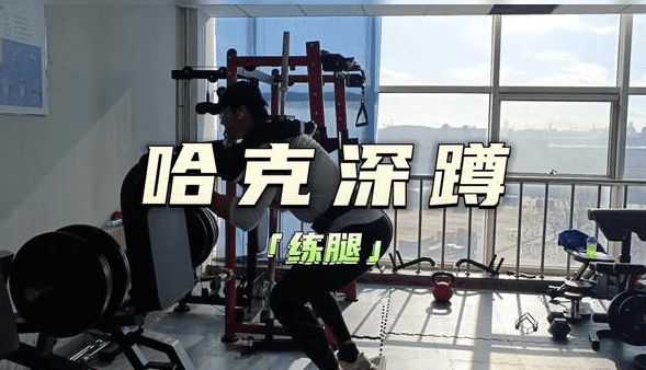 哈克深蹲器材
