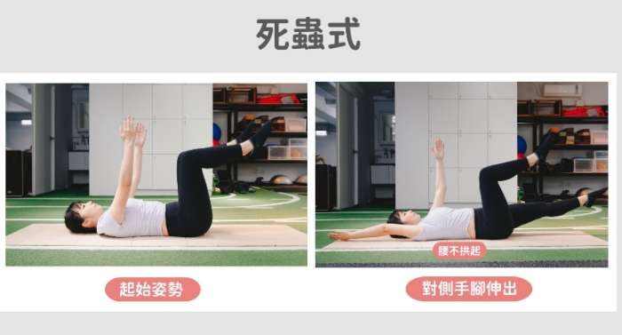 假胯寬主要原因