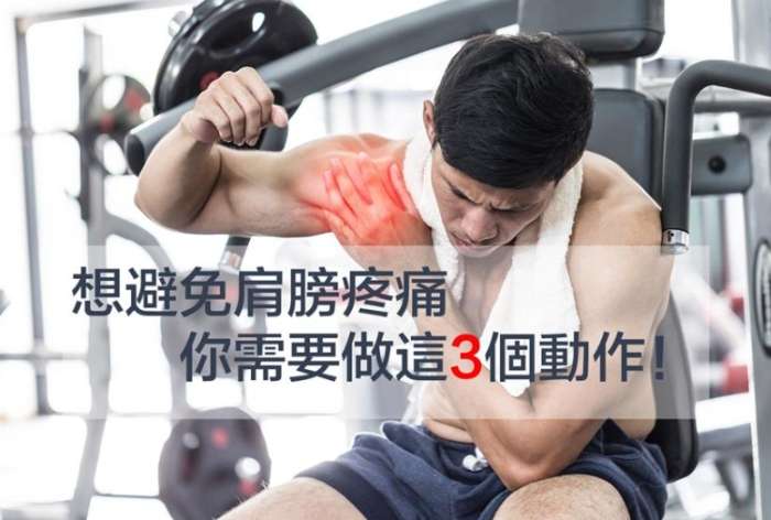肩部訓練好處